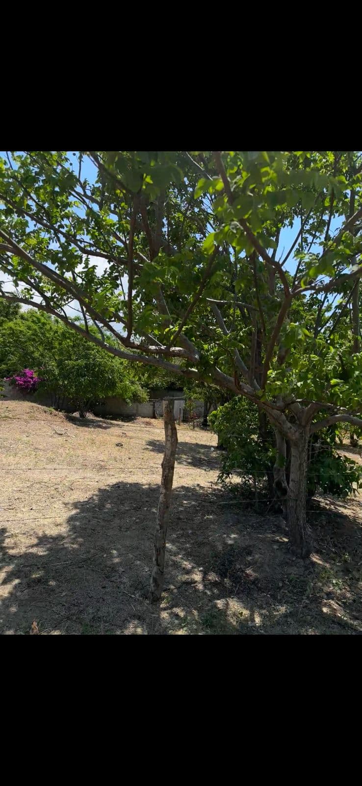 Lote De Oportunidad en el Sector de Bello Sol  — foto 2