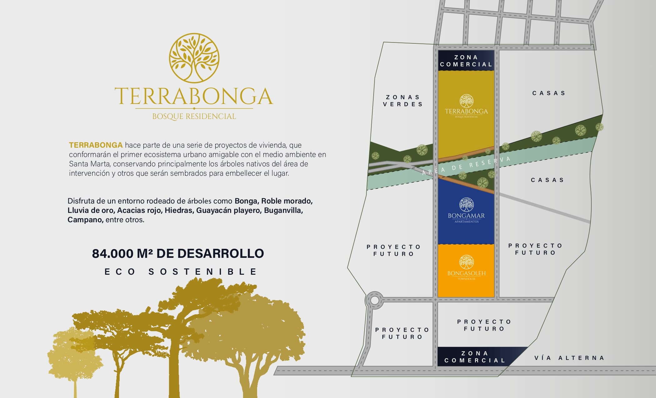 TERRABONGA  — foto 3