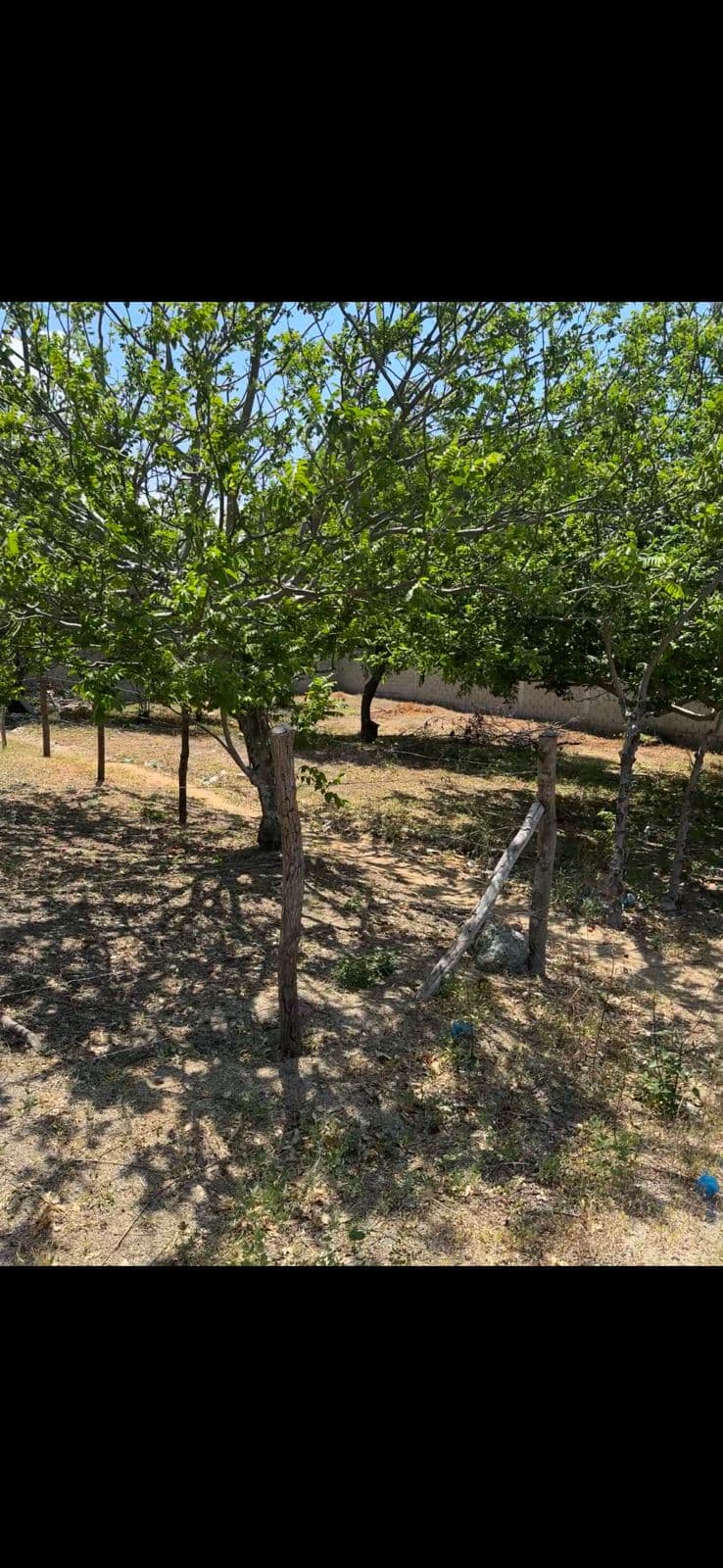 Lote De Oportunidad en el Sector de Bello Sol  — foto 3